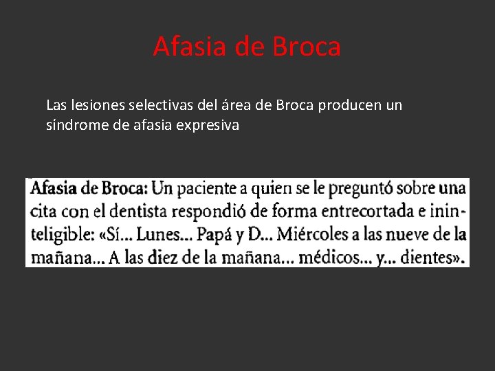 Afasia de Broca Las lesiones selectivas del área de Broca producen un síndrome de