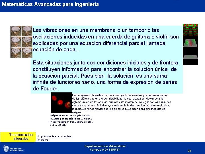 Matemáticas Avanzadas para Ingeniería Las vibraciones en una membrana o un tambor o las