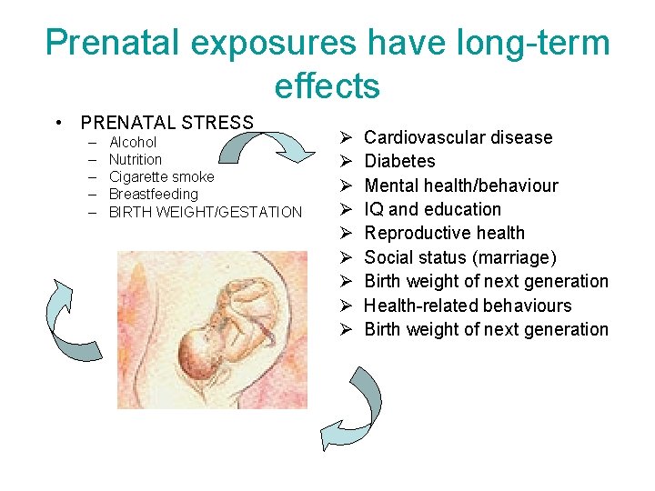Prenatal exposures have long-term effects • PRENATAL STRESS – – – Alcohol Nutrition Cigarette Prenatal exposures have long-term effects • PRENATAL STRESS – – – Alcohol Nutrition Cigarette