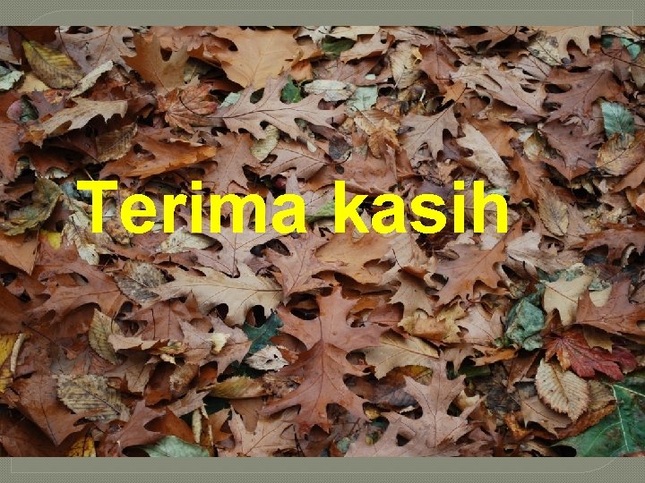 Terima kasih 