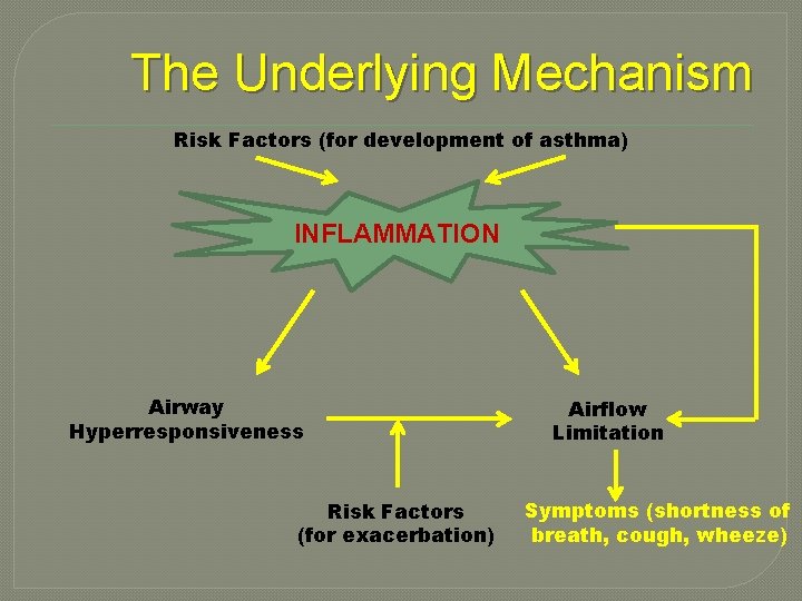 The Underlying Mechanism Risk Factors (for development of asthma) INFLAMMATION Airway Hyperresponsiveness Risk Factors