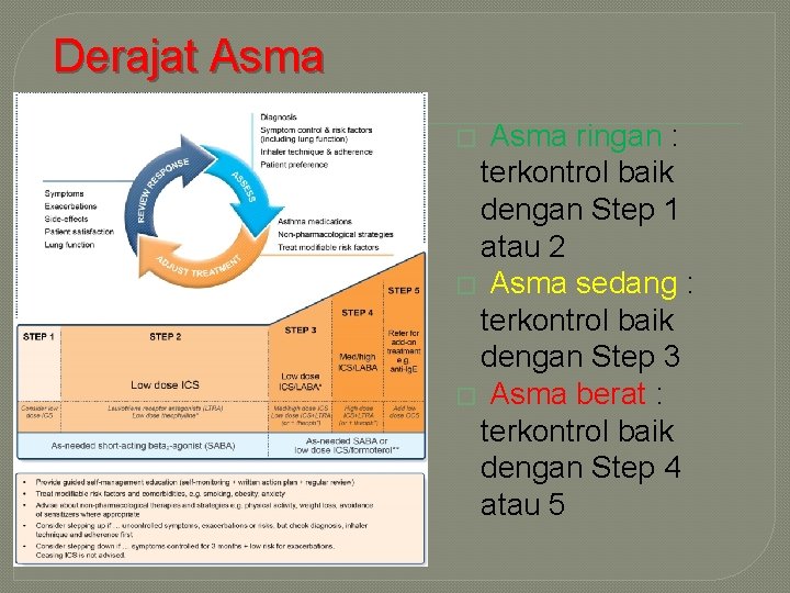 Derajat Asma ringan : terkontrol baik dengan Step 1 atau 2 � Asma sedang