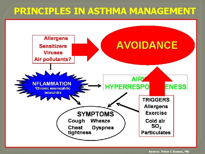 PRINCIPLES IN ASTHMA MANAGEMENT AVOIDANCE Source: Peter J. Barnes, MD 