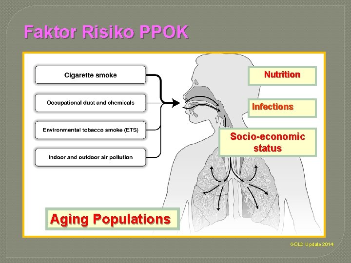 Faktor Risiko PPOK Nutrition Infections Socio-economic status Aging Populations GOLD Update 2014 