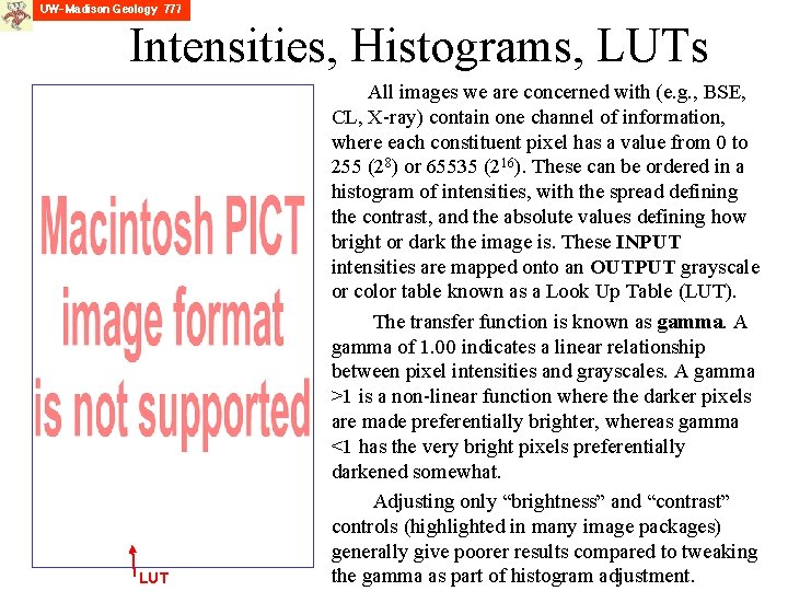 Intensities, Histograms, LUTs LUT All images we are concerned with (e. g. , BSE,