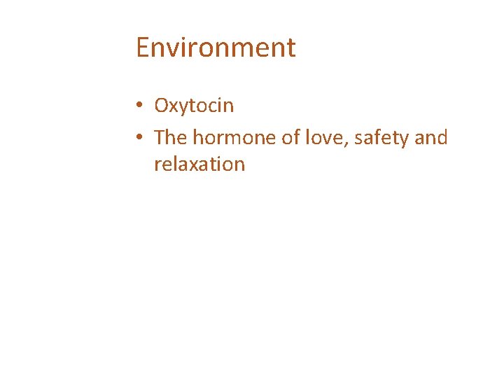 Environment • Oxytocin • The hormone of love, safety and relaxation 