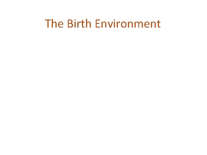 The Birth Environment 