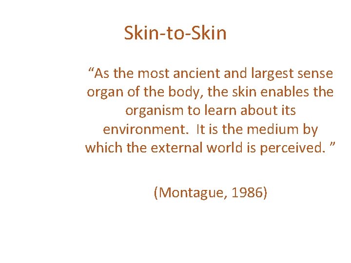 Skin-to-Skin “As the most ancient and largest sense organ of the body, the skin