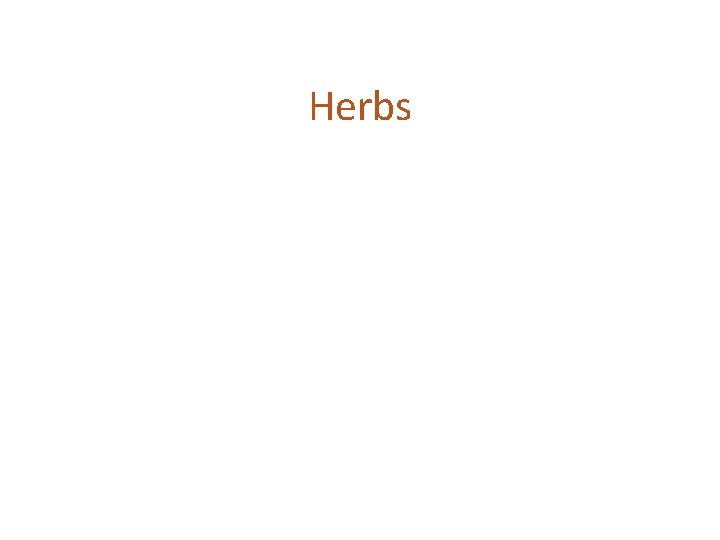 Herbs 