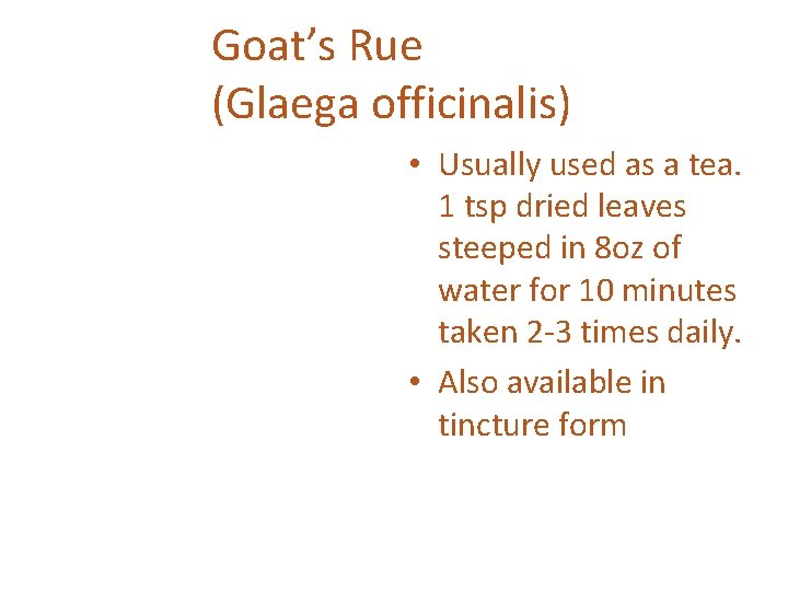 Goat’s Rue (Glaega officinalis) • Usually used as a tea. 1 tsp dried leaves