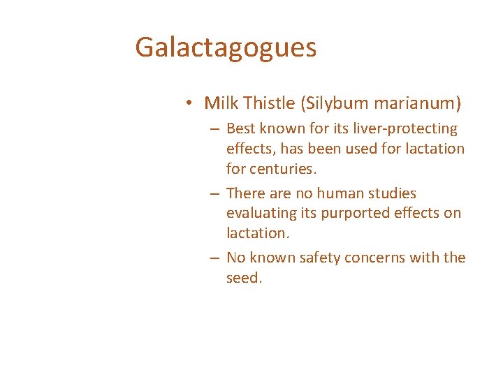 Galactagogues • Milk Thistle (Silybum marianum) – Best known for its liver-protecting effects, has