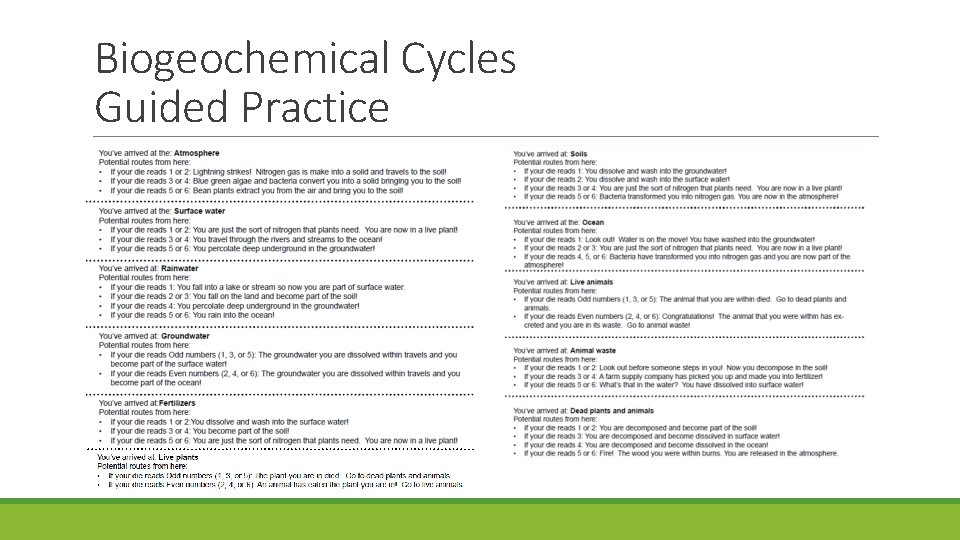 Biogeochemical Cycles Guided Practice 