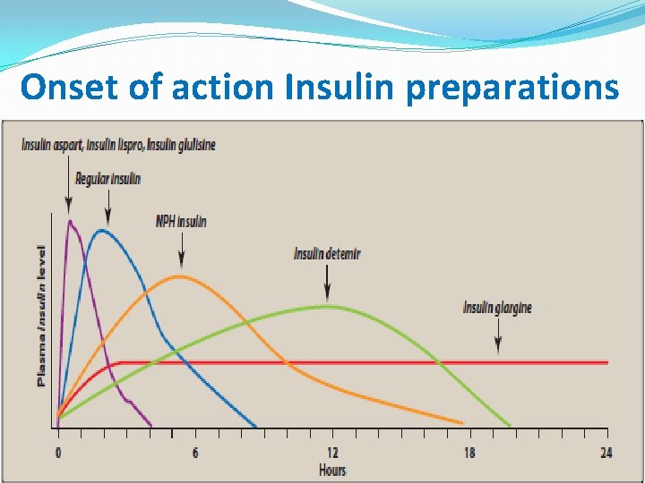 Onset of action Insulin preparations 