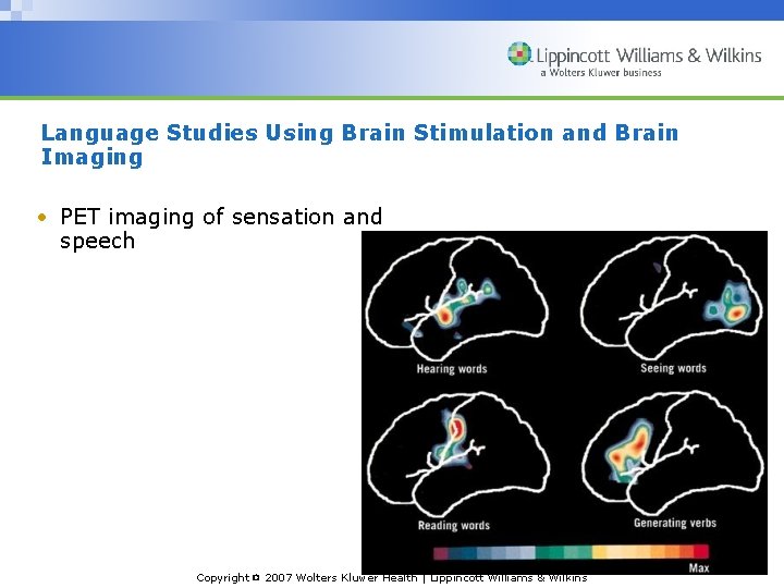 Language Studies Using Brain Stimulation and Brain Imaging • PET imaging of sensation and