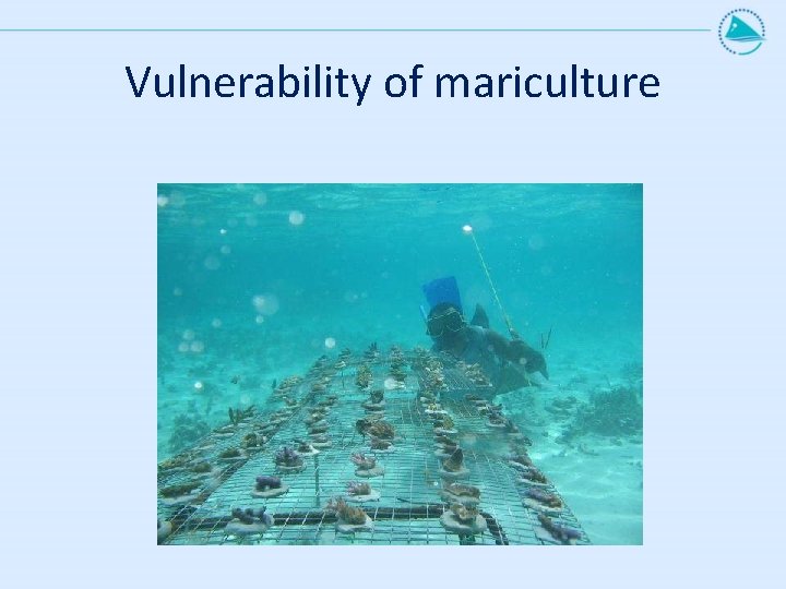 Vulnerability of mariculture 