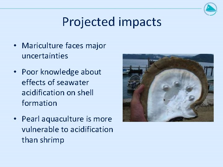 Projected impacts • Mariculture faces major uncertainties • Poor knowledge about effects of seawater Projected impacts • Mariculture faces major uncertainties • Poor knowledge about effects of seawater