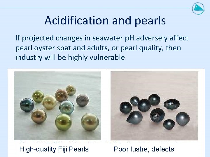 Acidification and pearls If projected changes in seawater p. H adversely affect pearl oyster Acidification and pearls If projected changes in seawater p. H adversely affect pearl oyster