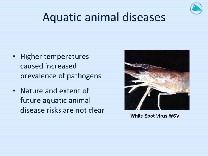 Aquatic animal diseases • Higher temperatures caused increased prevalence of pathogens • Nature and