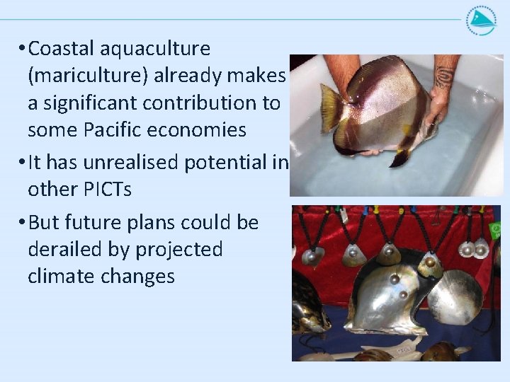 • Coastal aquaculture (mariculture) already makes a significant contribution to some Pacific economies • Coastal aquaculture (mariculture) already makes a significant contribution to some Pacific economies