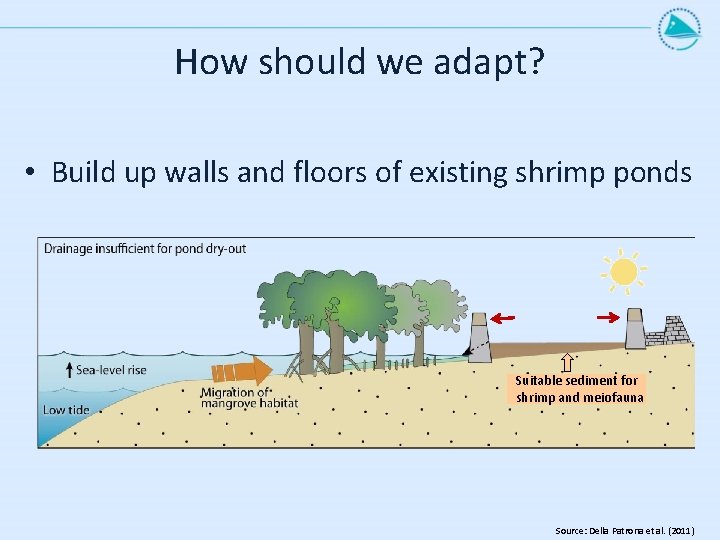 How should we adapt? • Build up walls and floors of existing shrimp ponds