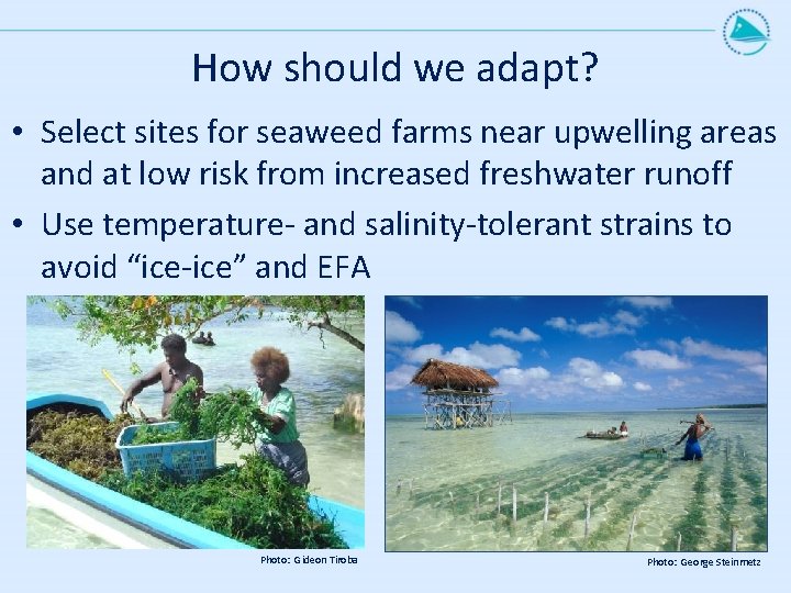 How should we adapt? • Select sites for seaweed farms near upwelling areas and