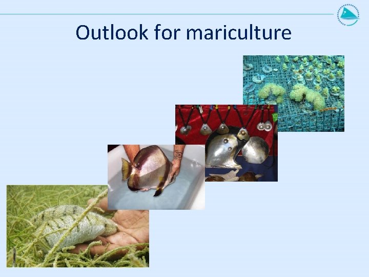 Outlook for mariculture Outlook for mariculture