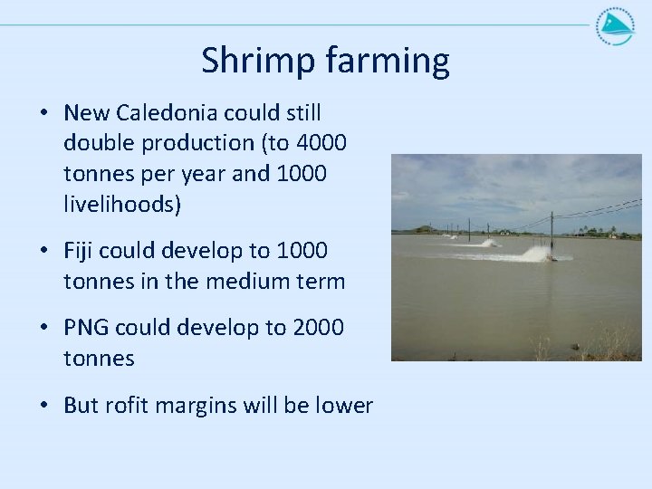 Shrimp farming • New Caledonia could still double production (to 4000 tonnes per year Shrimp farming • New Caledonia could still double production (to 4000 tonnes per year