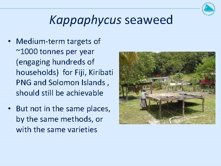 Kappaphycus seaweed • Medium-term targets of ~1000 tonnes per year (engaging hundreds of households) Kappaphycus seaweed • Medium-term targets of ~1000 tonnes per year (engaging hundreds of households)
