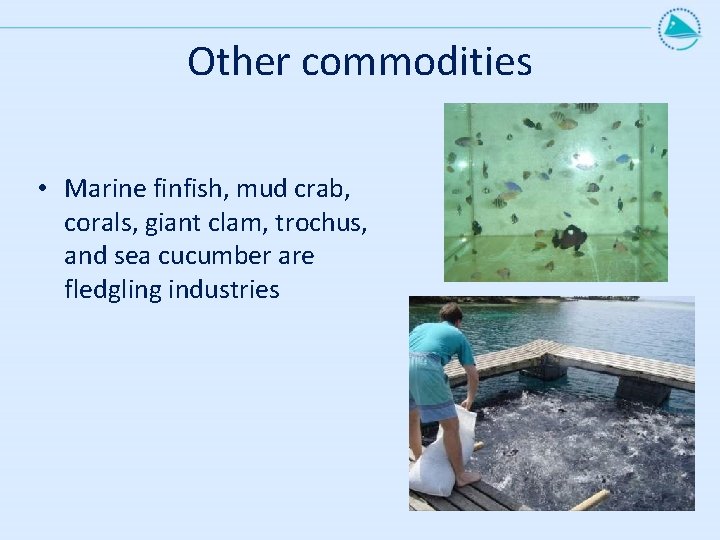 Other commodities • Marine finfish, mud crab, corals, giant clam, trochus, and sea cucumber Other commodities • Marine finfish, mud crab, corals, giant clam, trochus, and sea cucumber