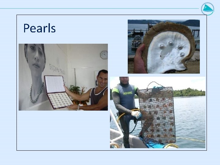 Pearls Pearls