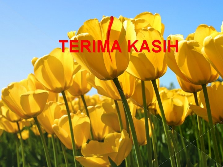 TERIMA KASIH 