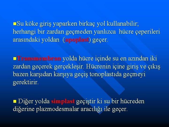 n. Su köke giriş yaparken birkaç yol kullanabilir; herhangi bir zardan geçmeden yanlızca hücre