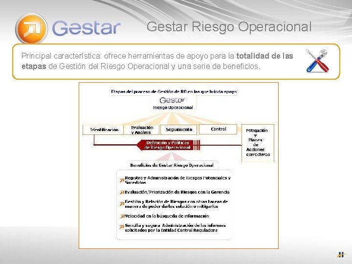 Gestar Riesgo Operacional Principal característica: ofrece herramientas de apoyo para la totalidad de las