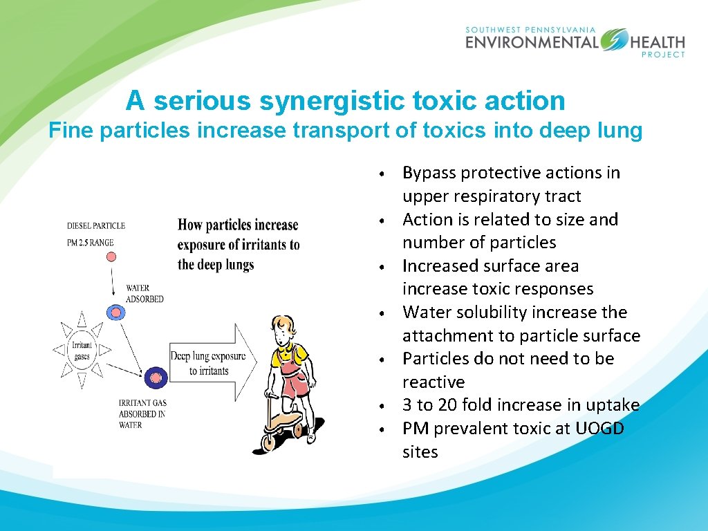 A serious synergistic toxic action Fine particles increase transport of toxics into deep lung