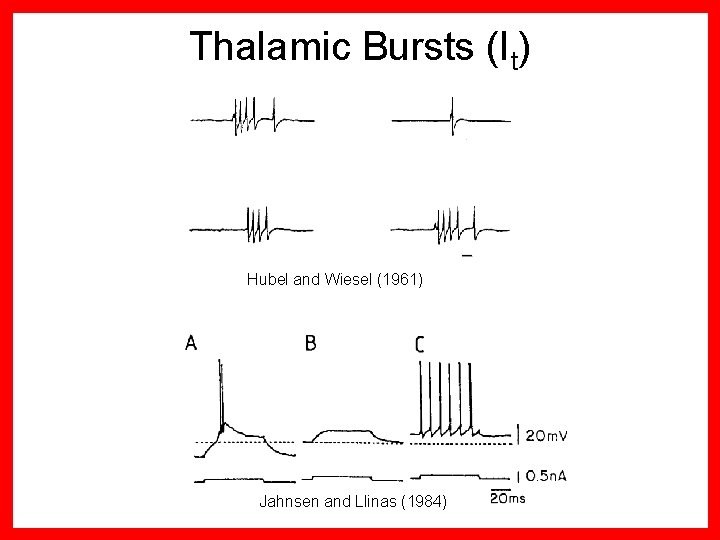 Thalamic Bursts (It) Hubel and Wiesel (1961) Jahnsen and Llinas (1984) 
