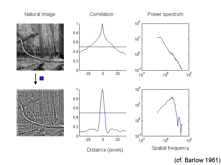 Natural Image Correlation Power spectrum 4 1 10 0. 8 2 10 0. 6