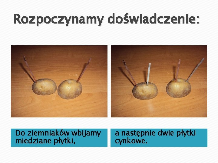 Rozpoczynamy doświadczenie: Do ziemniaków wbijamy miedziane płytki, a następnie dwie płytki cynkowe. Rozpoczynamy doświadczenie: Do ziemniaków wbijamy miedziane płytki, a następnie dwie płytki cynkowe.
