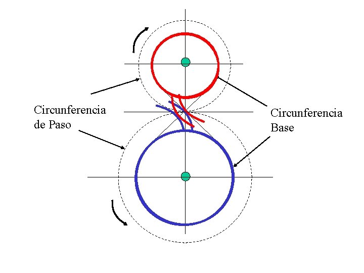 Circunferencia de Paso Circunferencia Base 