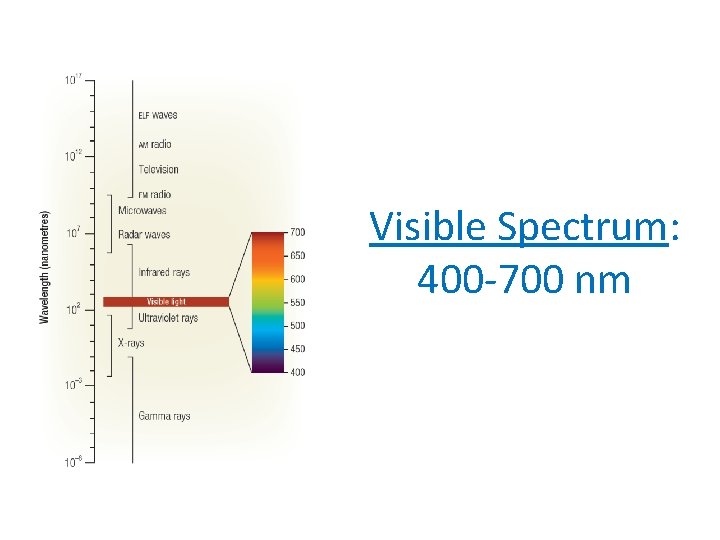 Visible Spectrum: 400 -700 nm 