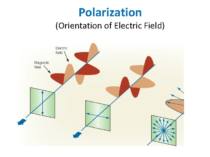 Polarization (Orientation of Electric Field) Polarization (Orientation of Electric Field)