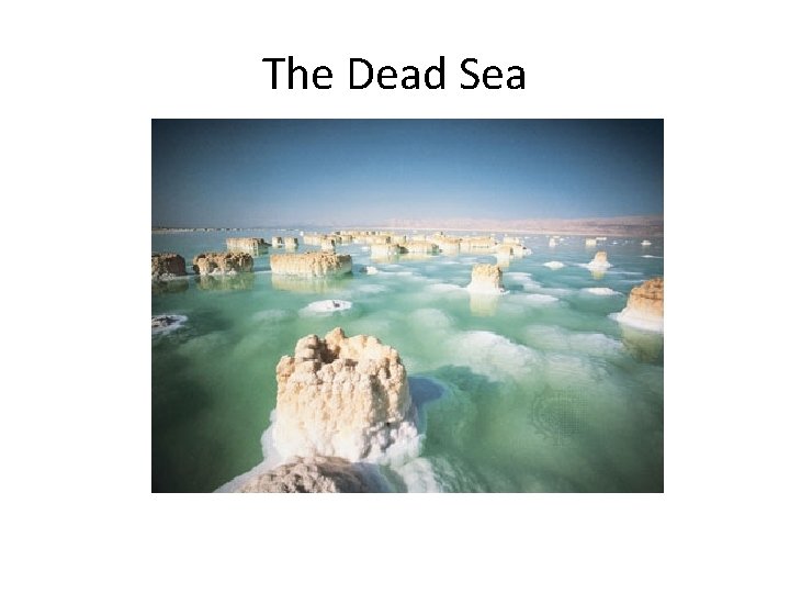 The Dead Sea 