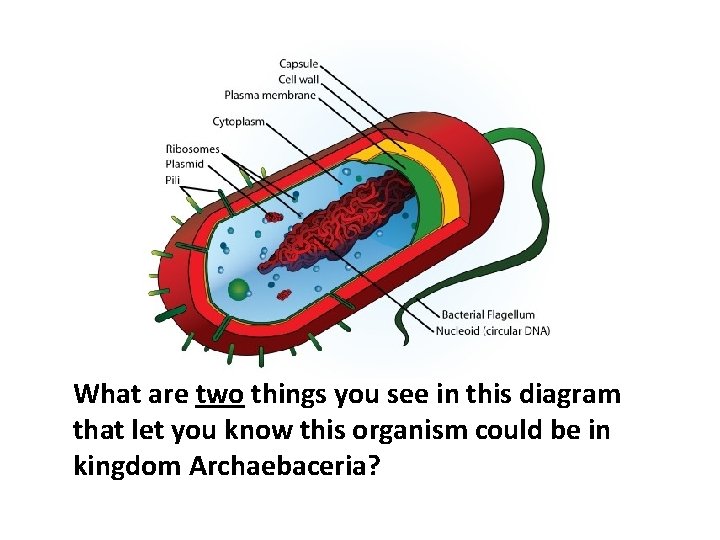 What are two things you see in this diagram that let you know this