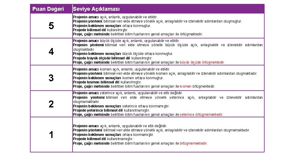 Puan Değeri Seviye Açıklaması 5 Projenin amacı açık, anlamlı, uygulanabilir ve etiktir. Projenin yöntemi Puan Değeri Seviye Açıklaması 5 Projenin amacı açık, anlamlı, uygulanabilir ve etiktir. Projenin yöntemi