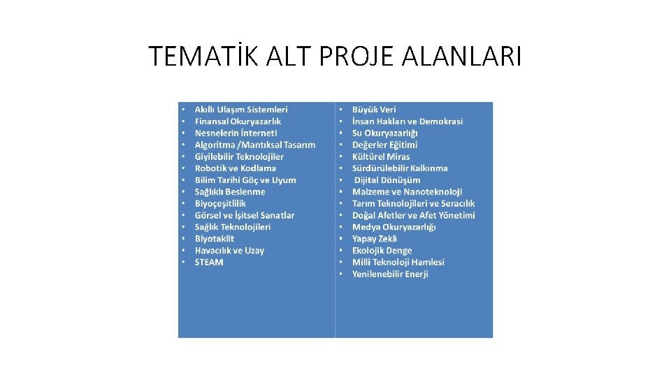 TEMATİK ALT PROJE ALANLARI TEMATİK ALT PROJE ALANLARI