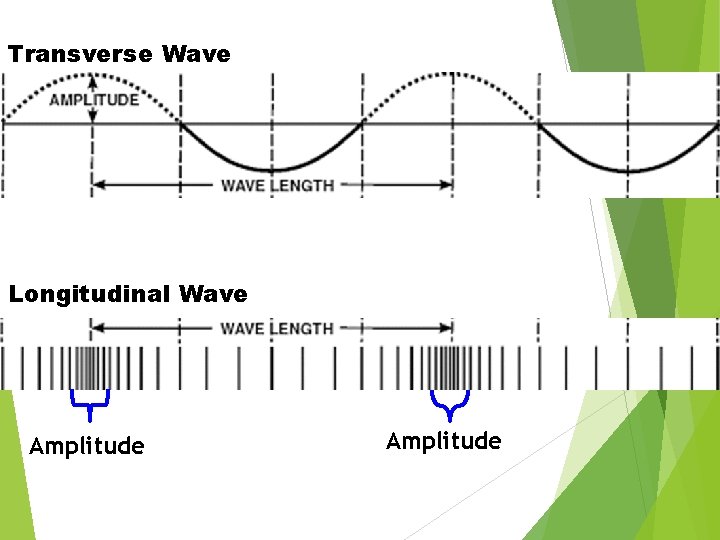 Transverse Wave Longitudinal Wave Amplitude 