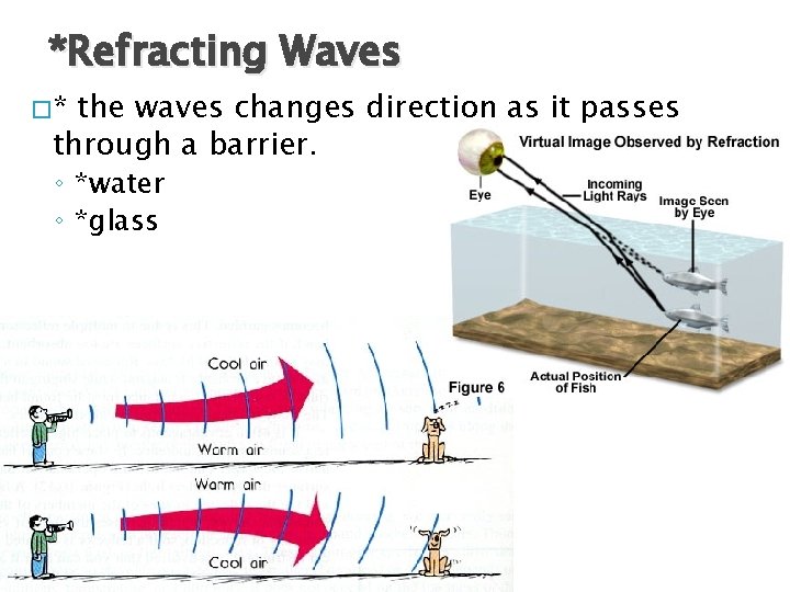 *Refracting Waves �* the waves changes direction as it passes through a barrier. ◦