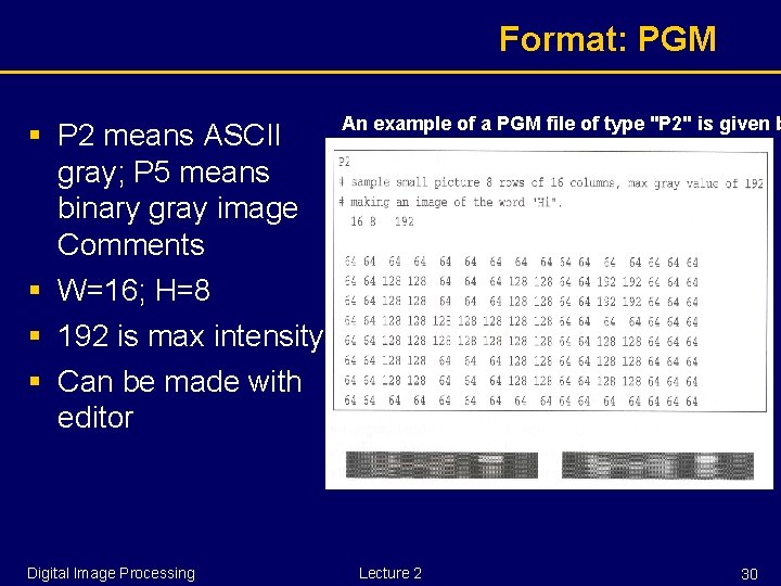 Format: PGM § P 2 means ASCII gray; P 5 means binary gray image
