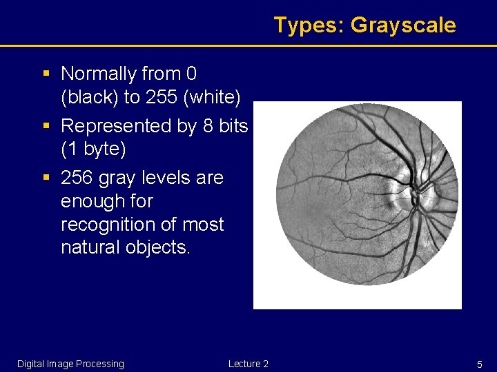 Types: Grayscale § Normally from 0 (black) to 255 (white) § Represented by 8