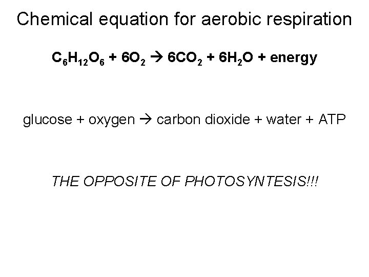 Chemical equation for aerobic respiration C 6 H 12 O 6 + 6 O