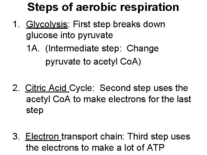 Steps of aerobic respiration 1. Glycolysis: First step breaks down glucose into pyruvate 1